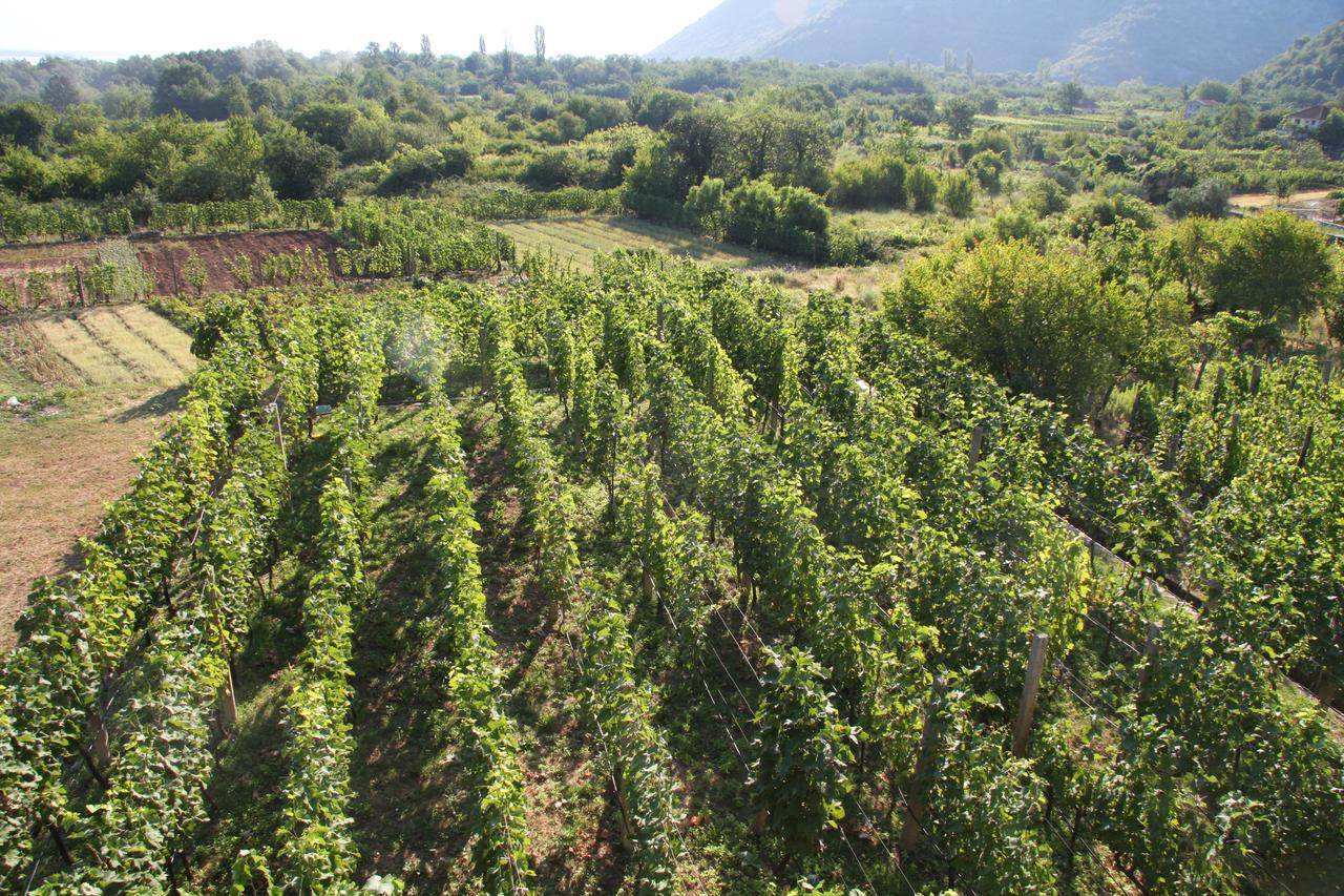 Vrzina Farm House Skadar Lake Virpazar Zewnętrze zdjęcie