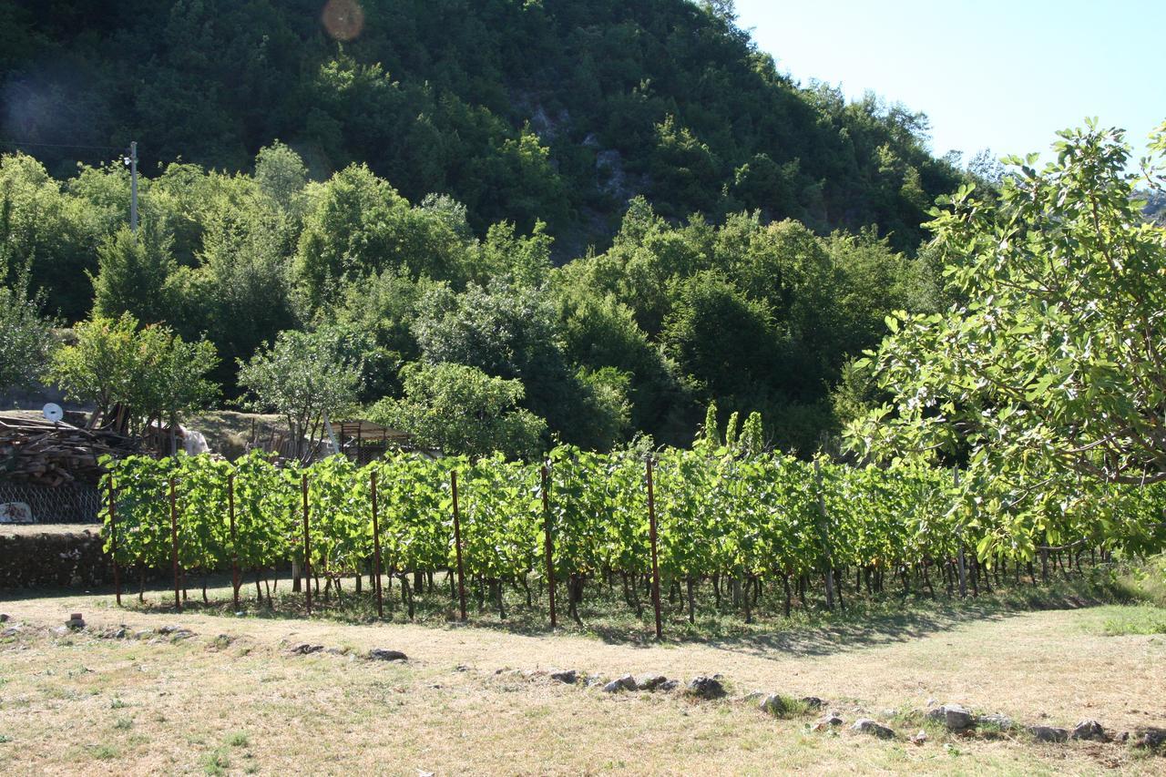 Vrzina Farm House Skadar Lake Virpazar Zewnętrze zdjęcie