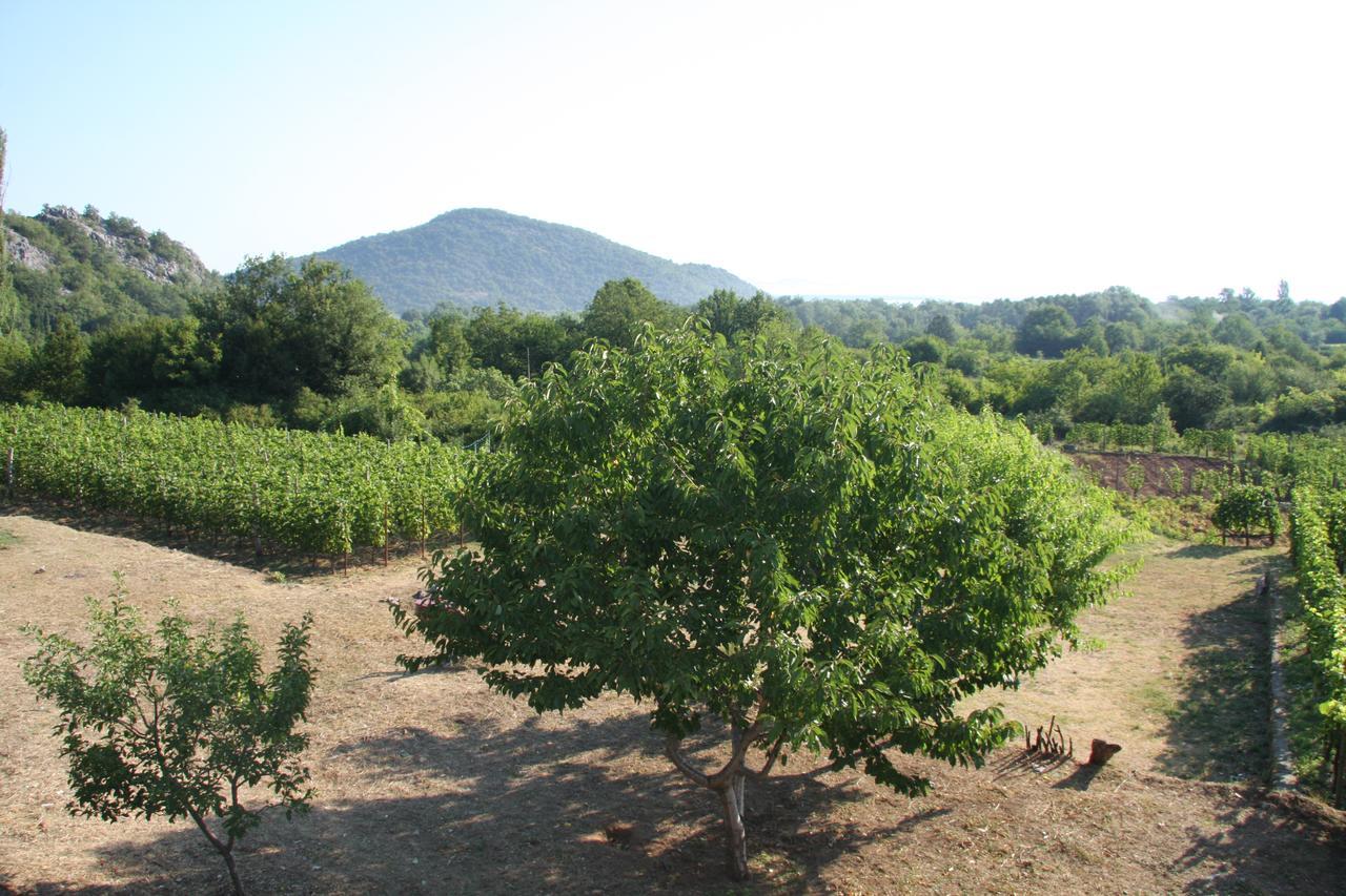 Vrzina Farm House Skadar Lake Virpazar Zewnętrze zdjęcie