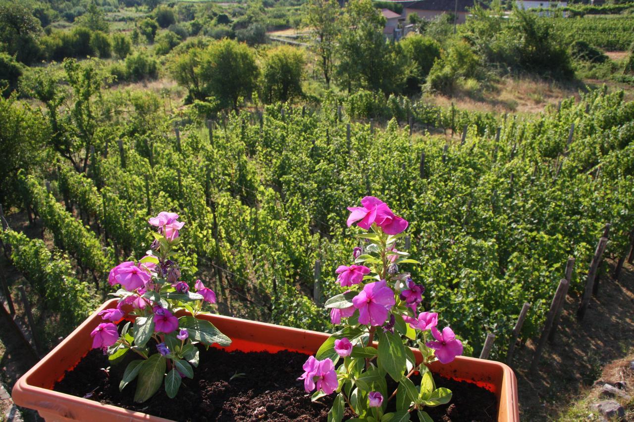 Vrzina Farm House Skadar Lake Virpazar Zewnętrze zdjęcie