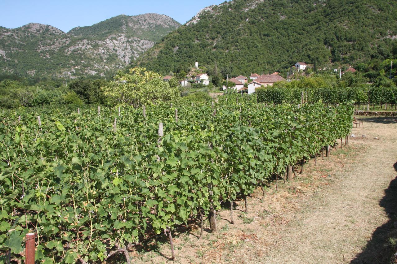 Vrzina Farm House Skadar Lake Virpazar Zewnętrze zdjęcie