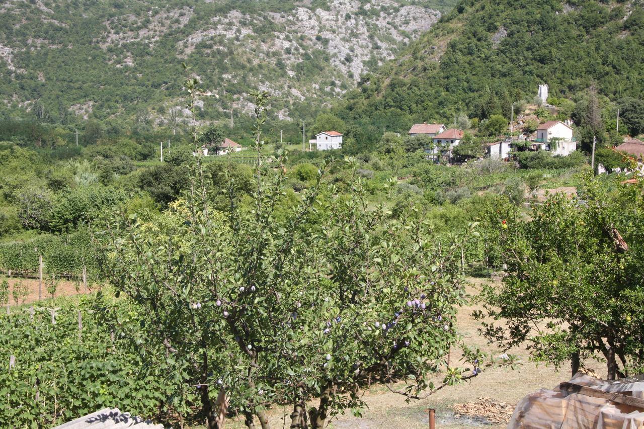 Vrzina Farm House Skadar Lake Virpazar Zewnętrze zdjęcie